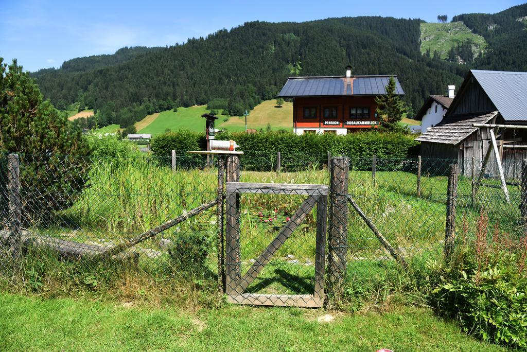 Fruehstueckspension Pachler Gosau Exteriör bild