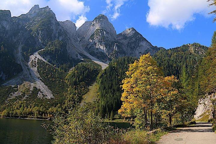 Fruehstueckspension Pachler Gosau Exteriör bild
